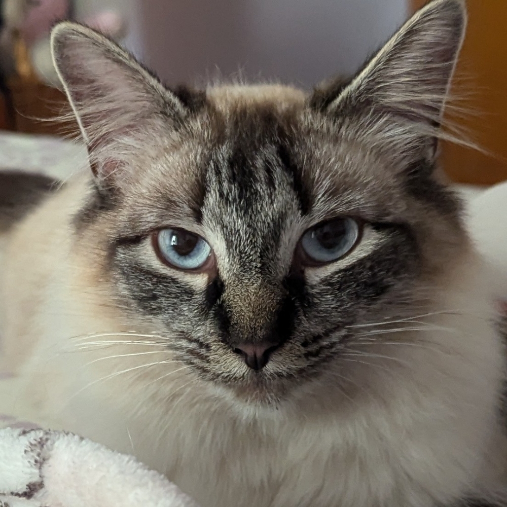 Make me an offer